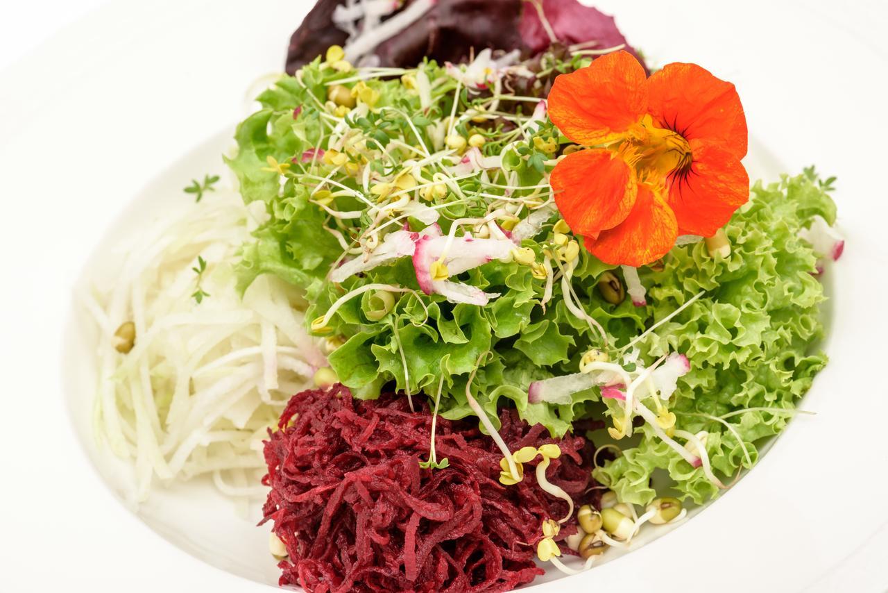 Berghues Schratt - Einfach Anders - Ihr Vegetarisches Und Veganes Biohotel Hotel Oberstaufen