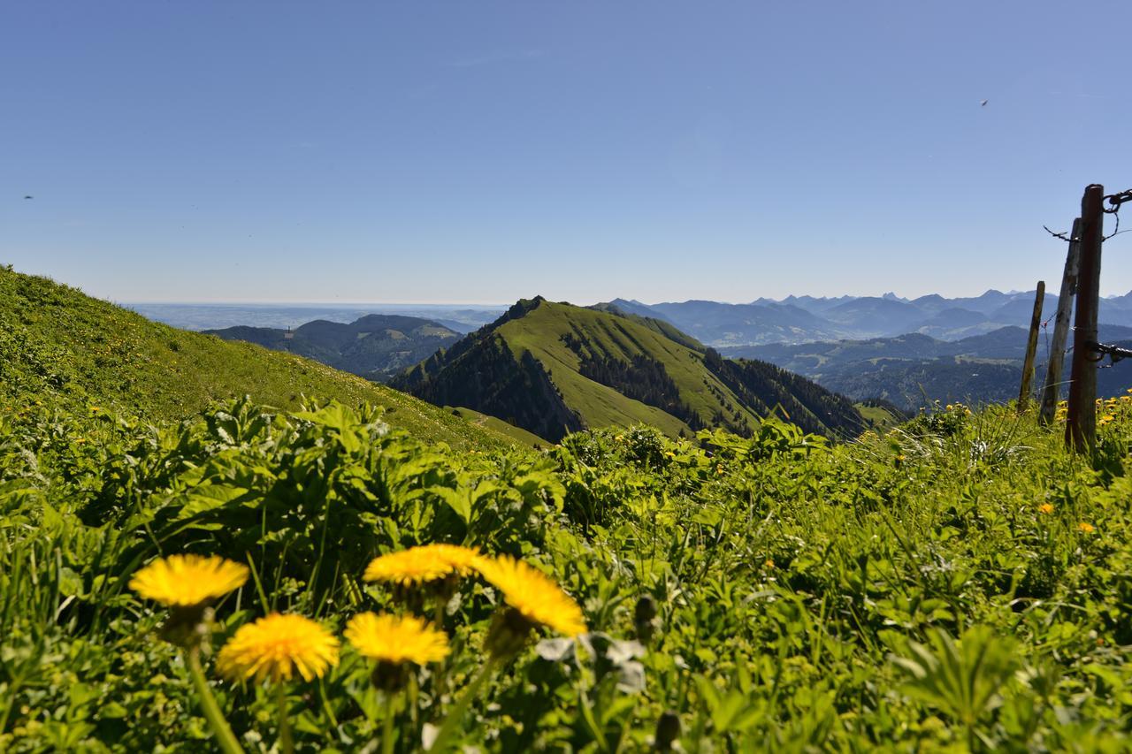Hotel Berghues Schratt - Einfach Anders - Ihr Vegetarisches Und Veganes Biohotel